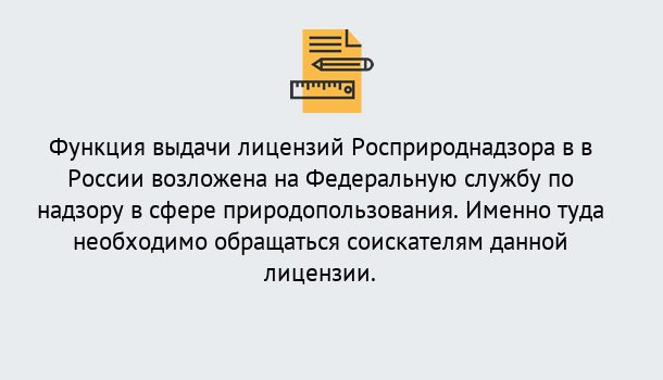 Почему нужно обратиться к нам? Маркс Лицензия Росприроднадзора. Под ключ! в Маркс