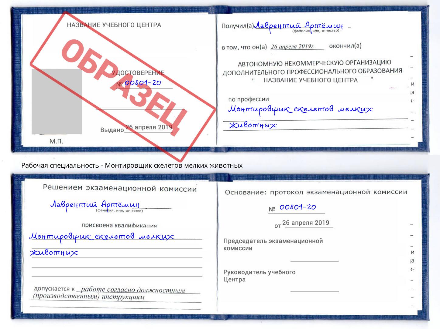 Монтировщик скелетов мелких животных Маркс